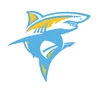 Long Island University logo