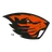 204 logo