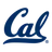 25 logo