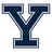 43 logo